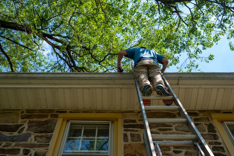 Ladder Safety During Cleaning